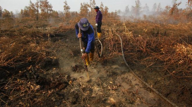 Kebakaran Hutan Kalimantan Tengah Warga Batuk Batuk