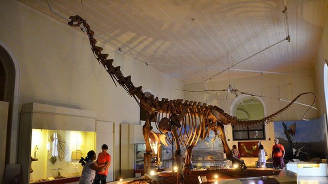 Dinossauro no Museu Nacional