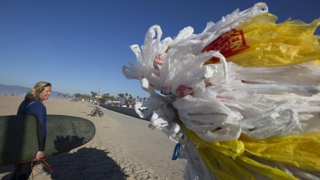 ผู้หญิงและถุงพลาสติกที่ชายหาด
