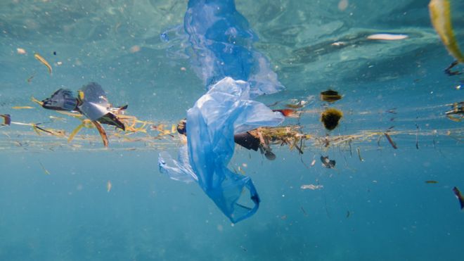 Bolsas y otros fragmentos de basura plástica flotando en el océano