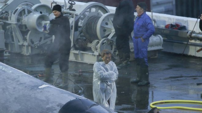 Японский инспектор и некоторые члены экипажа фотографируют кита