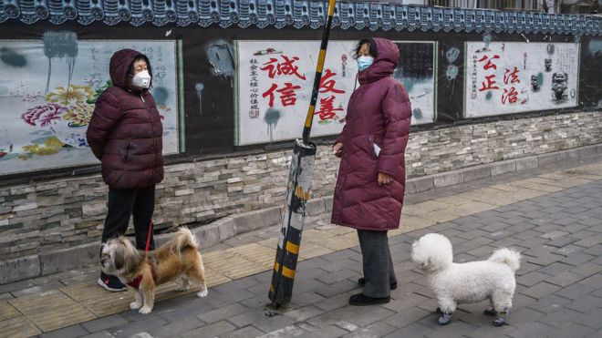 疫情中北京市民在遛狗