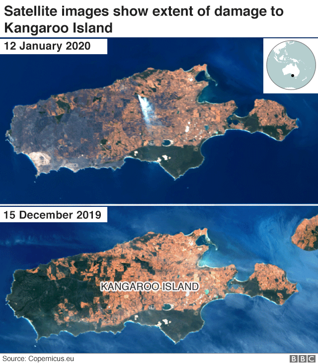 Satelliittikuva tulipalojen tuhoamisesta Kenguru-saarella