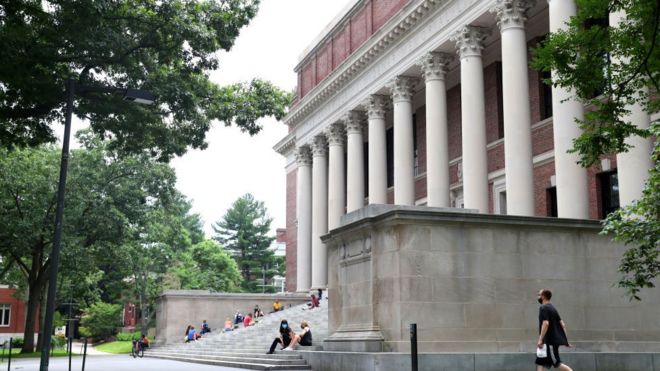 Вид на Гарвардский двор на кампусе Гарвардского университета в июле 2020 года в Кембридже, штат Массачусетс.