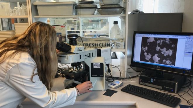 Исследователь Кьяра Бертелли смотрит на снаряды в микроскоп