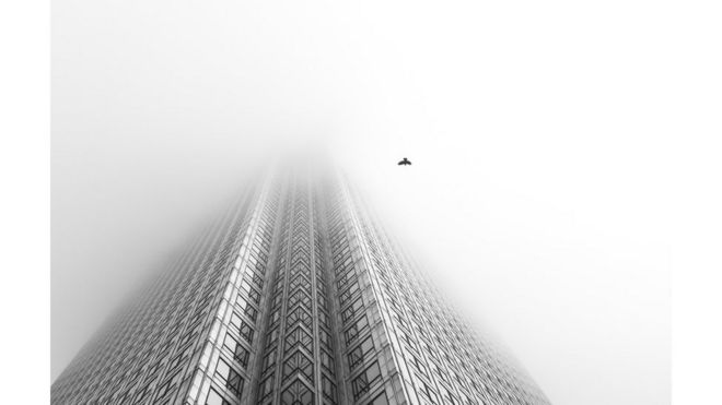Un ave pasa junto a un rascacielos de Londres.