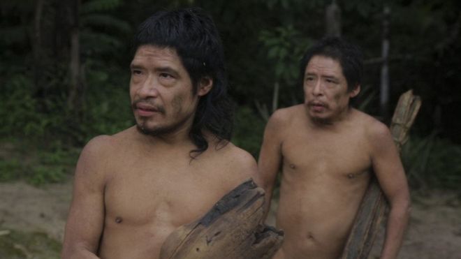 Image shows Tamandua (left) and Baita during a contact in 2017