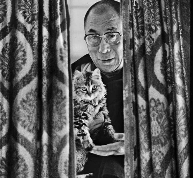 Далай Лама со своим домашним котом