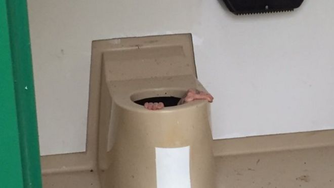 Norwegian man stuck in a toilet