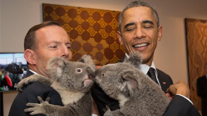 Президент Обама держит коалу.