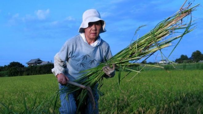 agricultre
