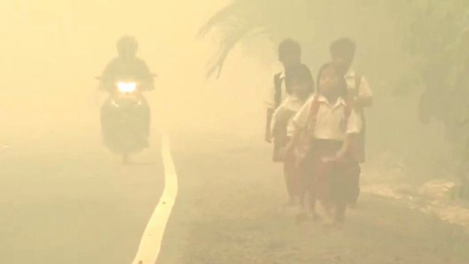 インドネシアの森林・泥炭火災　年少者の健康被害が深刻に