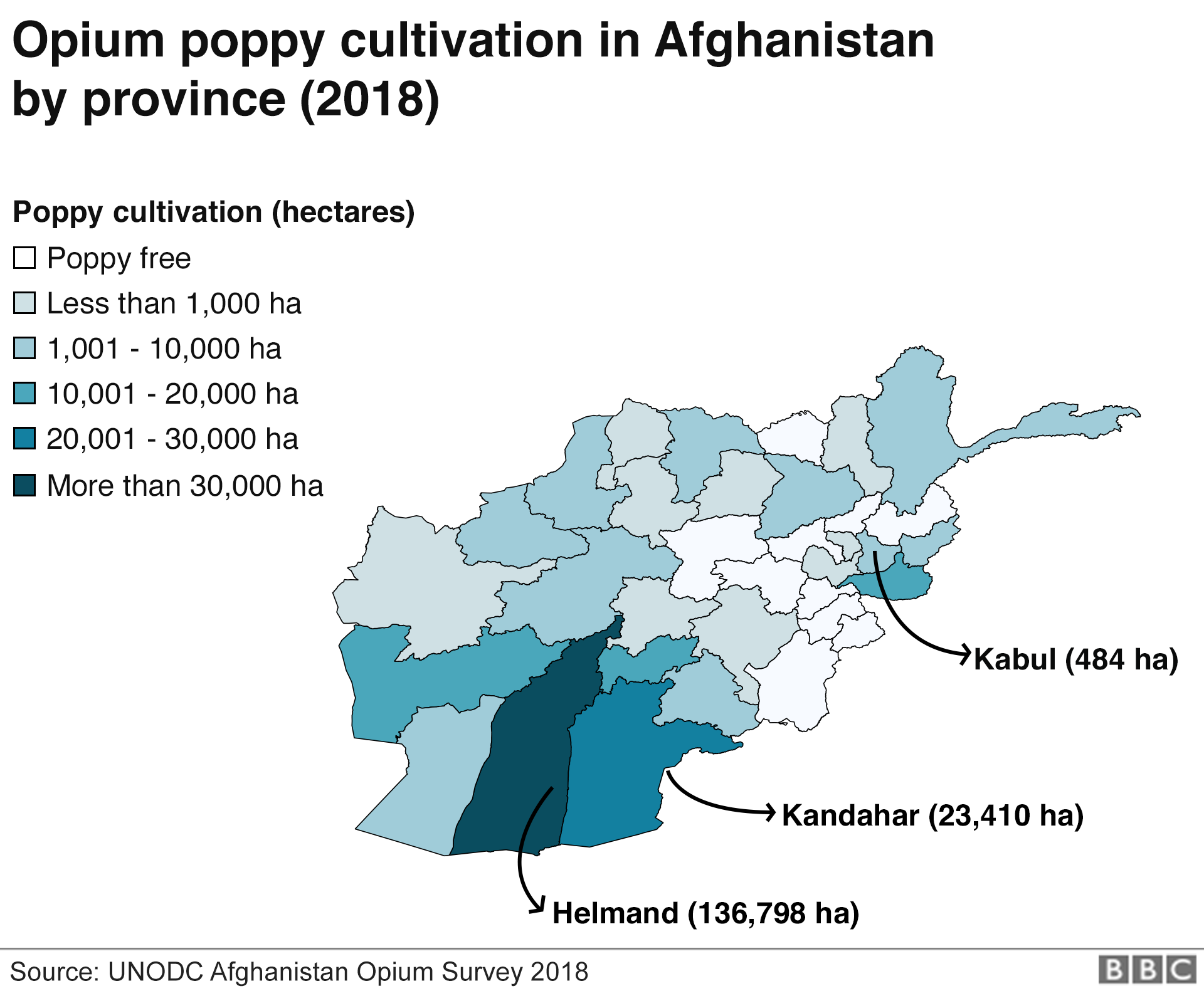 выращивание мака в Афганистане