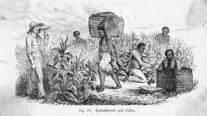 Des esclaves à Cuba, qui a obtenu l'indépendance en 1898.