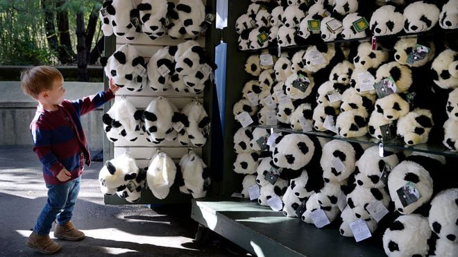 2-летний Ватсон Грейс из Дарема, штат Северная Каролина, выбирает одну из шляп Панды в магазине во время самого молодого в Смитсоновском периоде детёныша панды
