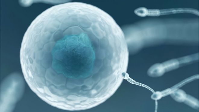 Компьютерное изображение спермы, попадающей в яйцеклетку