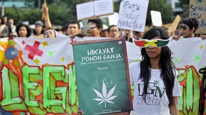 Legalisasi Ganja Untuk Keperluan Medis Ditolak MK - BBC News Indonesia