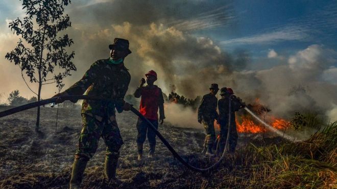 Kebakaran hutan di Indonesia