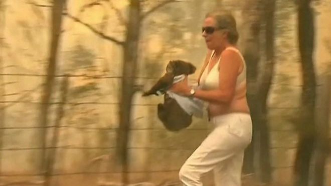 托妮·多爾蒂抱著著火考拉跑出叢林（19/11/2019）