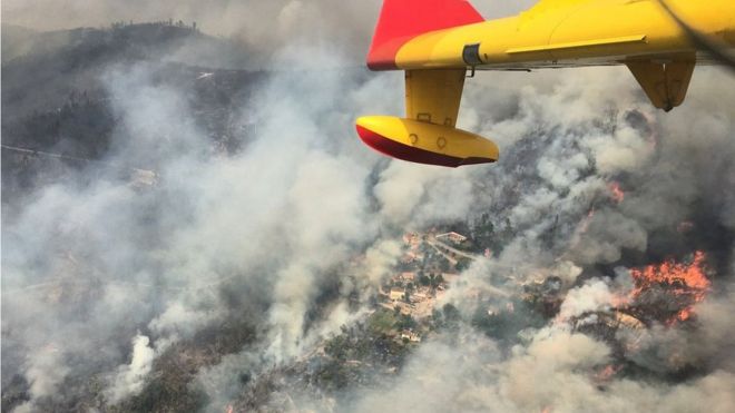 Вид с воздуха на лесной пожар виден из кабины испанского пожарного самолета 43 Grupo возле Педроньо Гранде, Португалия, 19 июня 2017 года
