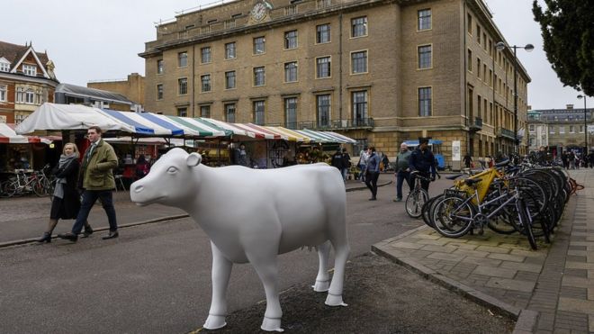 Скульптура коровы в Кембридже