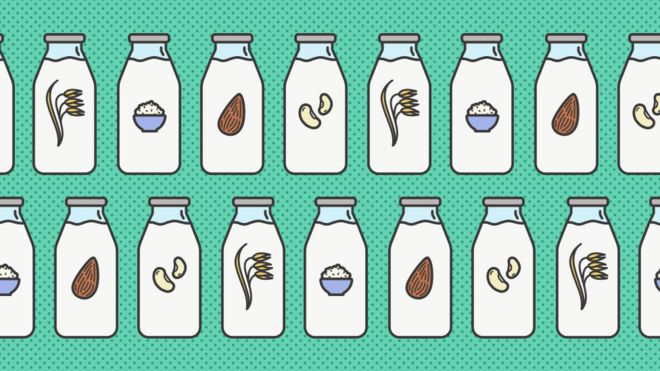 IlustraciÃ³n con botellas de leche y semillas vegetales.