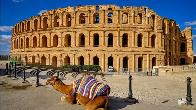 Camello fuera del anfiteatro de El Djem