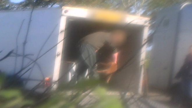 Мужчина выносит лису из грузовика