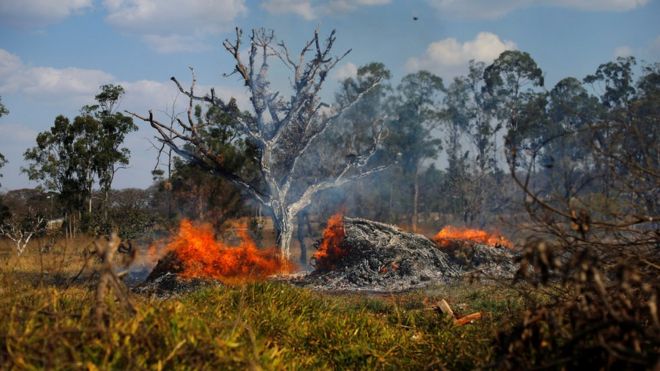 DevastaciÃ³n en Brasilia causada por los incendios forestales que sufre Brasil.