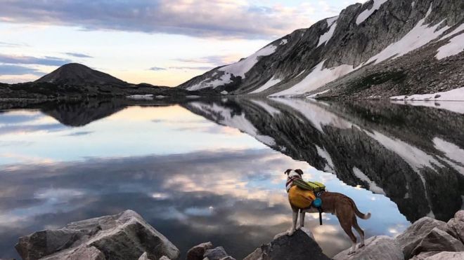 Красивое озеро и горный пейзаж с собакой исследует
