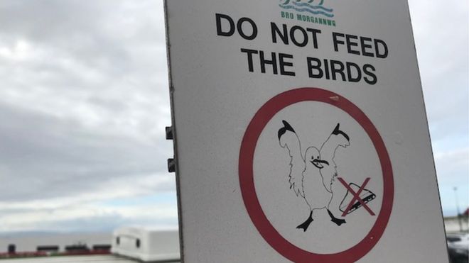 Табличка, призывающая посетителей не кормить птиц