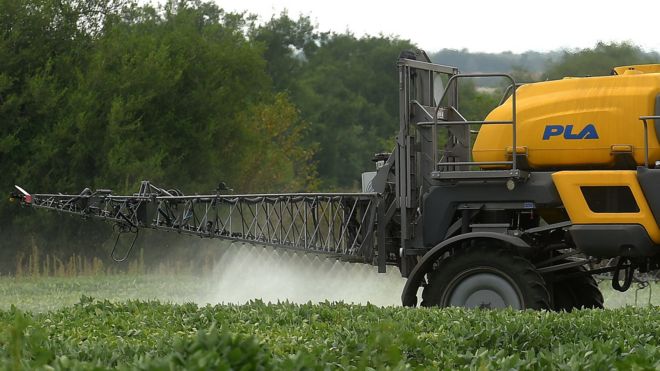 Um campo de soja Ã© fumigado na Argentina