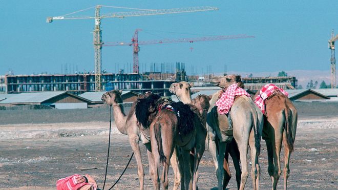 دبي عام 1984