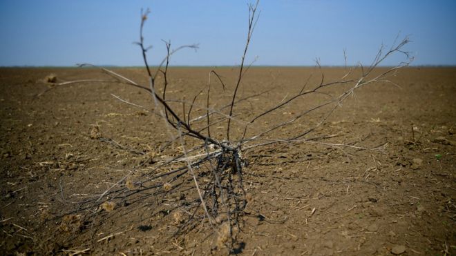 Венгрия засухи