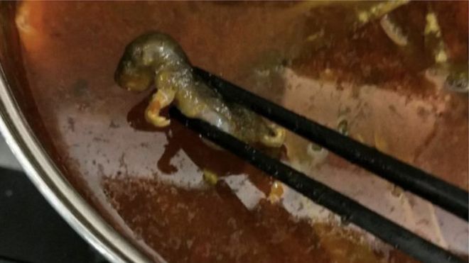 Dead rat in a soup at a Chinese hotpot restaurant