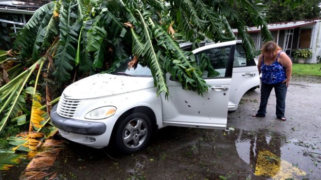 Una mujer observa los daños a su vehículo, sobre el que cayó un árbol.