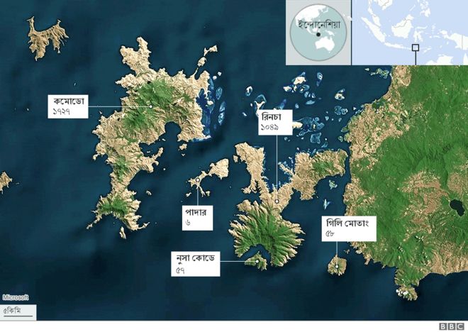 যেসব দ্বীপে কমোডো ড্রাগনের বাস।