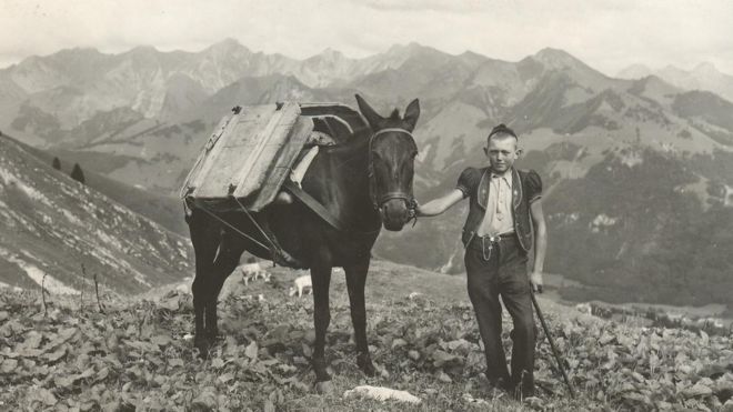 Архивная фотография мальчика и его лошади в Альпах