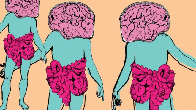 Ilustración sobre la conexión intestinos-cerebro
