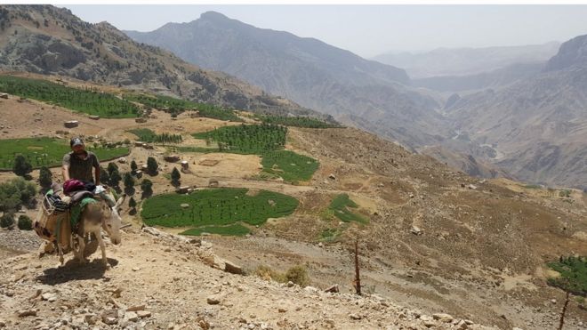 Куски плодородной почвы были очищены от каменистой почвы в деревне Дехиболо