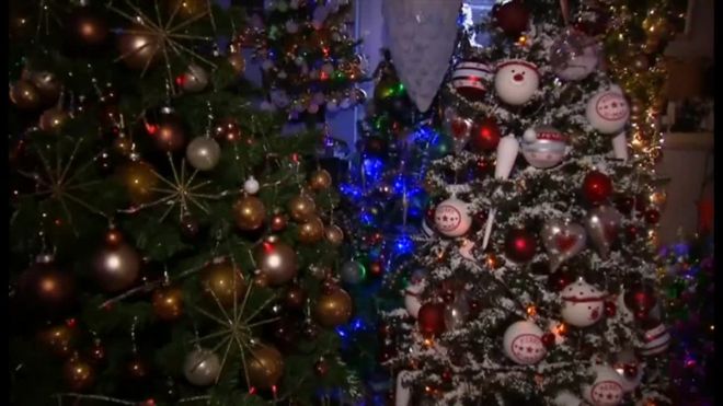 ドイツ北部のハノーバーに住む夫婦はクリスマス好きが高じて、100平方メートルほどの自宅にツリーを100本飾っている。2カ月ほどかけて飾り付けを完了させるという。
