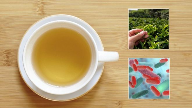 чашка чая, чайные листья и клетка бактерий C. Diff