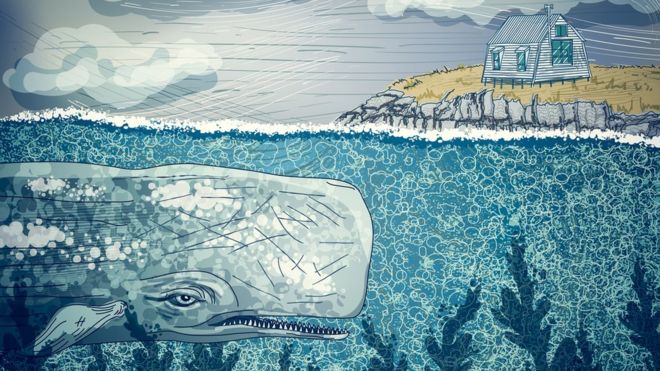 Гигантский кит, купание в океане