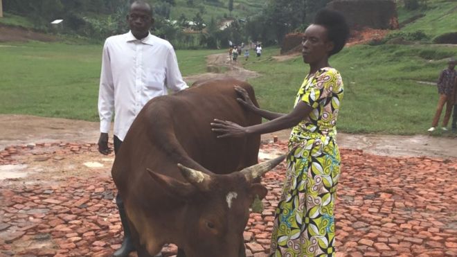 Amiel Mbarubukeye and Delphine with a cow