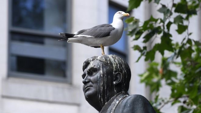 Фотография чайки на вершине статуи, до того, как были установлены шипы.