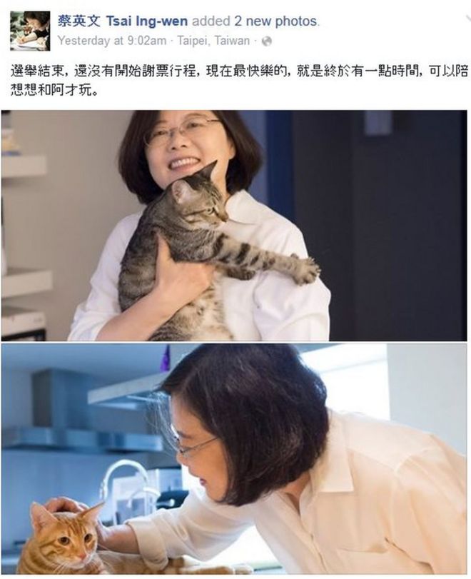 Скриншот поста Цай Ингвен в Facebook о ее кошках, сделанный 21 января 2016 года