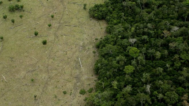 Deforestación en el estado de Mato Grosso.