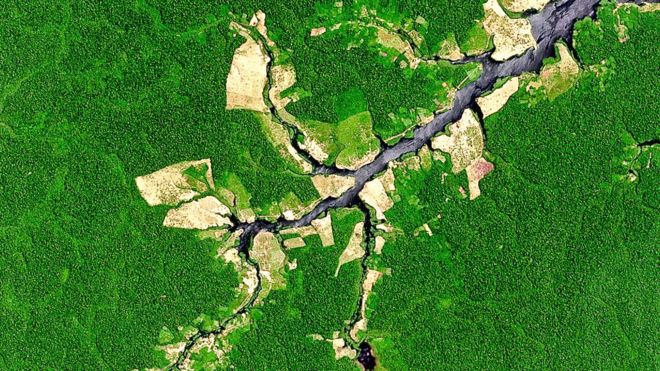 Desforestación en la Amazonía en Brasil