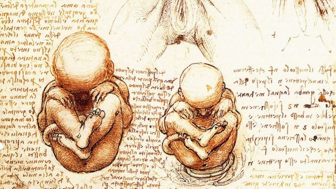 Estudios de Leonardo da Vinci de bebés