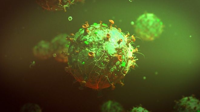 Virus
